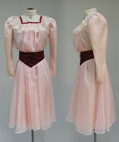 1893 Chicago Worlds Fair Victorian Girls Costume